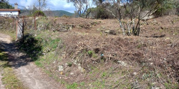 Terreno