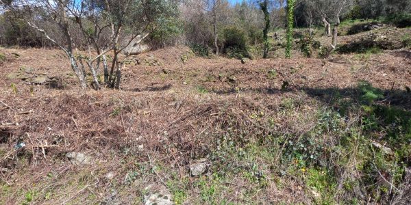 Terreno