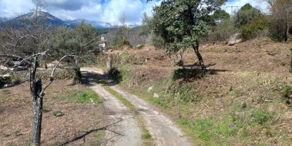 Terreno