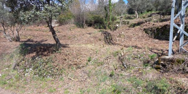 Terreno