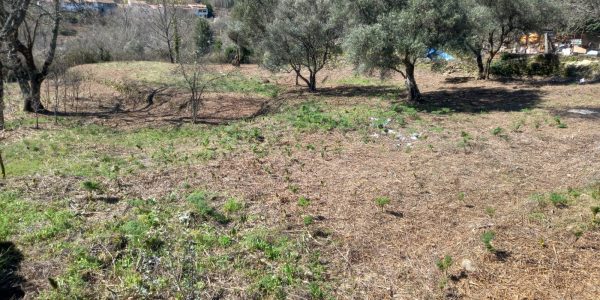 Terreno